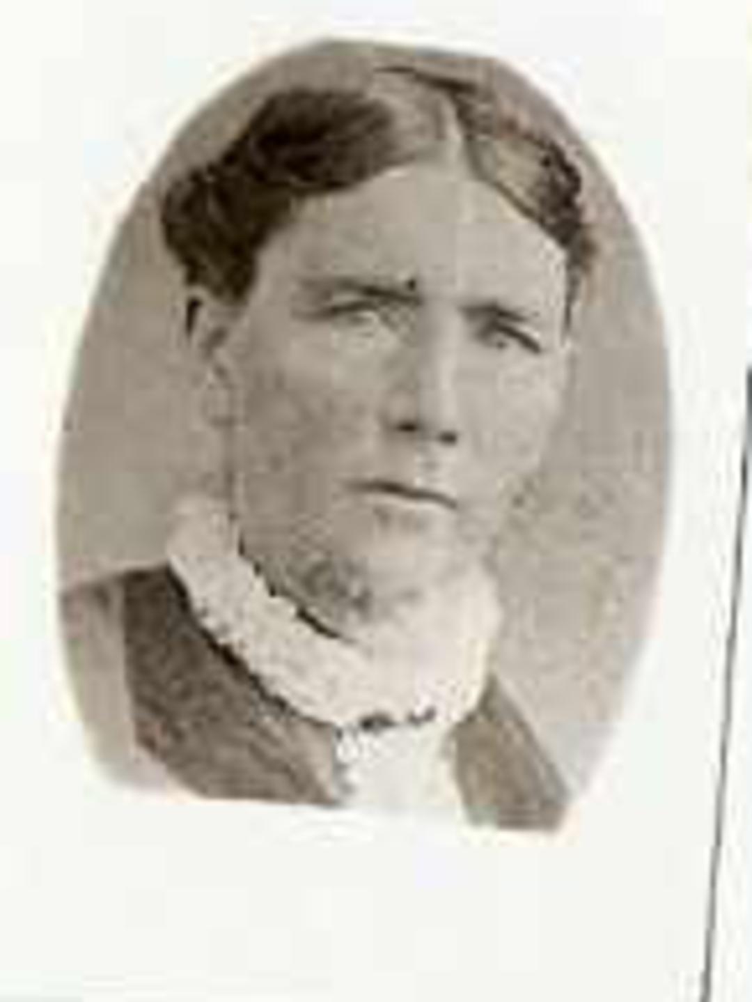 Ann Lewis (1836 - 1913) Profile